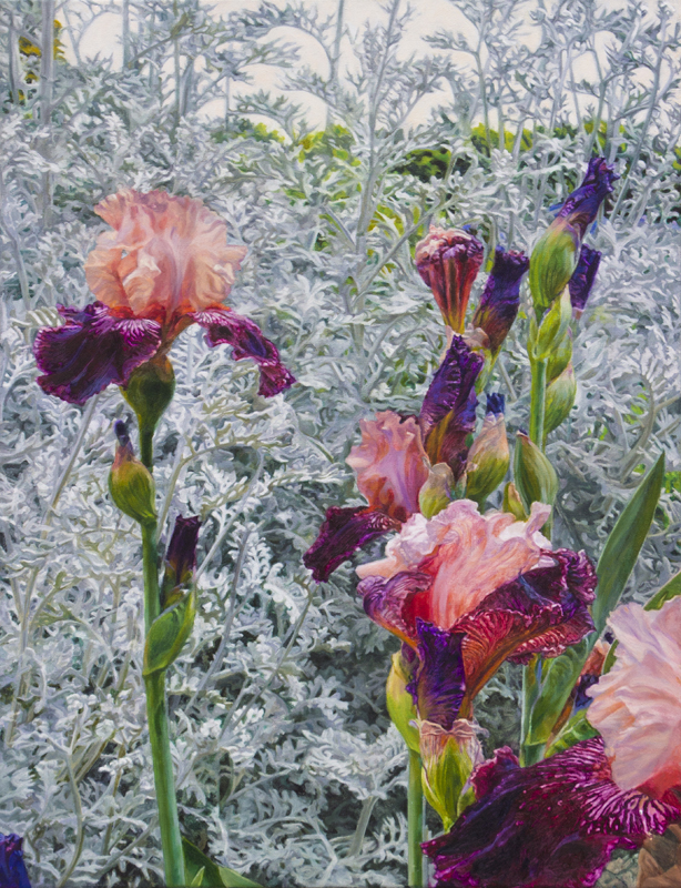 Irises in the Generalife Gardens
